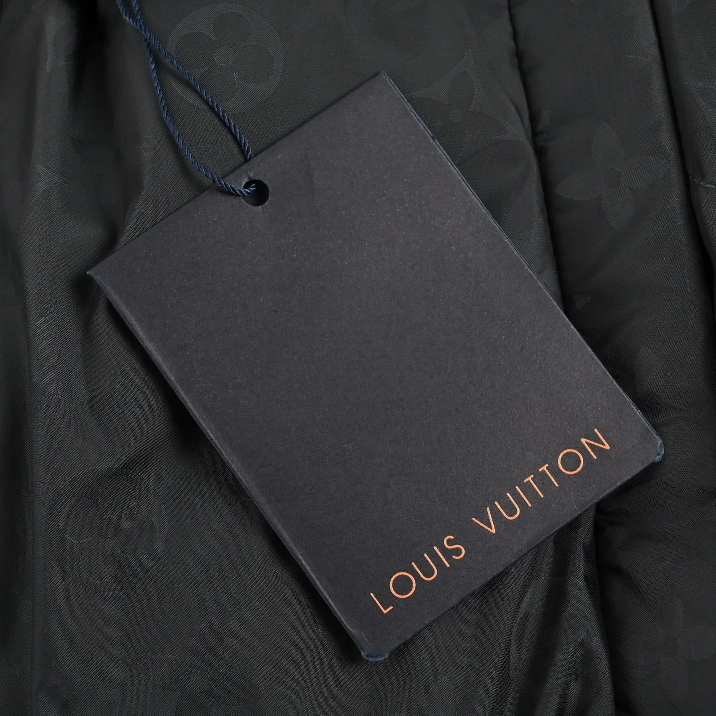 Louis Vuitton/Louis Vuitton SKI Ski Series Dark Pattern Armband Hooded Down Jacket